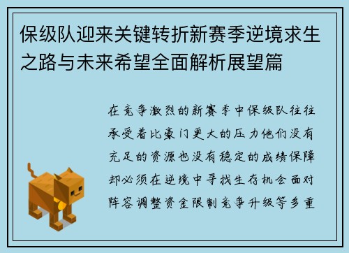 保级队迎来关键转折新赛季逆境求生之路与未来希望全面解析展望篇 保级队迎来关键转折新赛季逆境求生之路与未来希望全面解析展望篇
